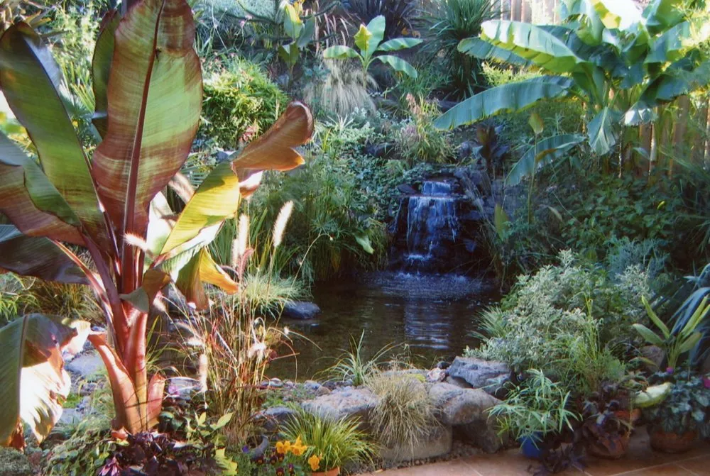 Local yard cleanup service in Turlock, CA - Inspirational Water Features