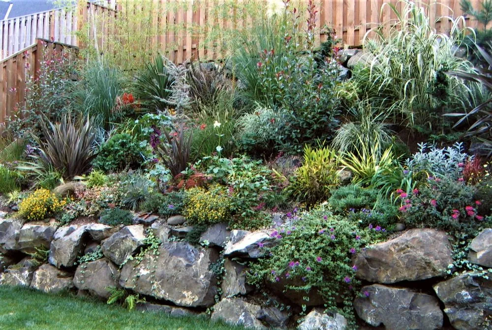 Affordable yard cleanup service in Turlock, CA - Inspirational Water Features