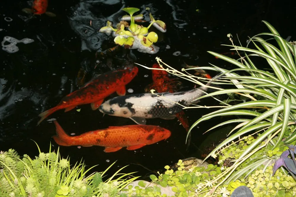 Top-rated outdoor landscaping experts serving Turlock, CA - Inspirational Water Features