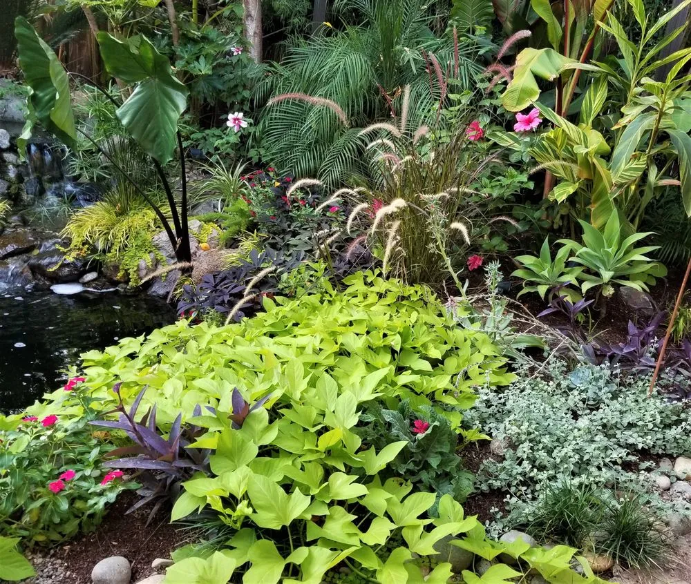 Trusted landscaping services in Turlock, CA by Inspirational Water Features