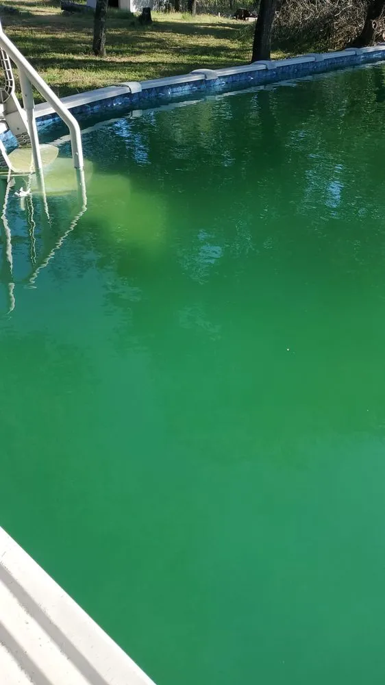 Reliable lawn care service in San Antonio, TX - Inspirations Property Services