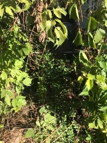 Local residential landscaping in Mendota Heights, MN - Inspired Landscaping