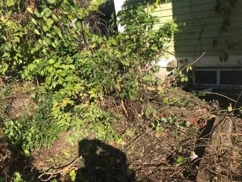 Top-rated lawn care service for beautiful yards in Mendota Heights, MN by Inspired Landscaping