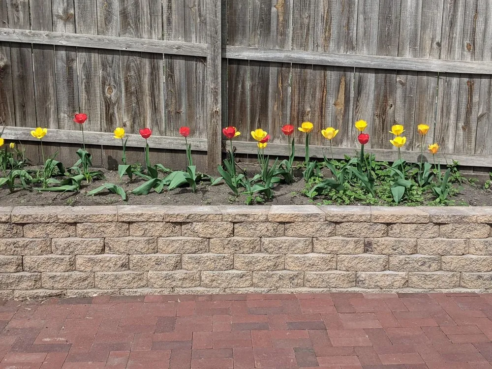 Top-rated lawn care service for residential properties in Mendota Heights, MN by Inspired Landscaping