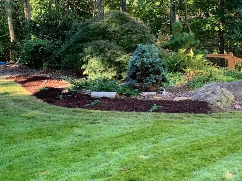 Trusted yard maintenance in Commerce, GA - Inspired Total Lawn Care
