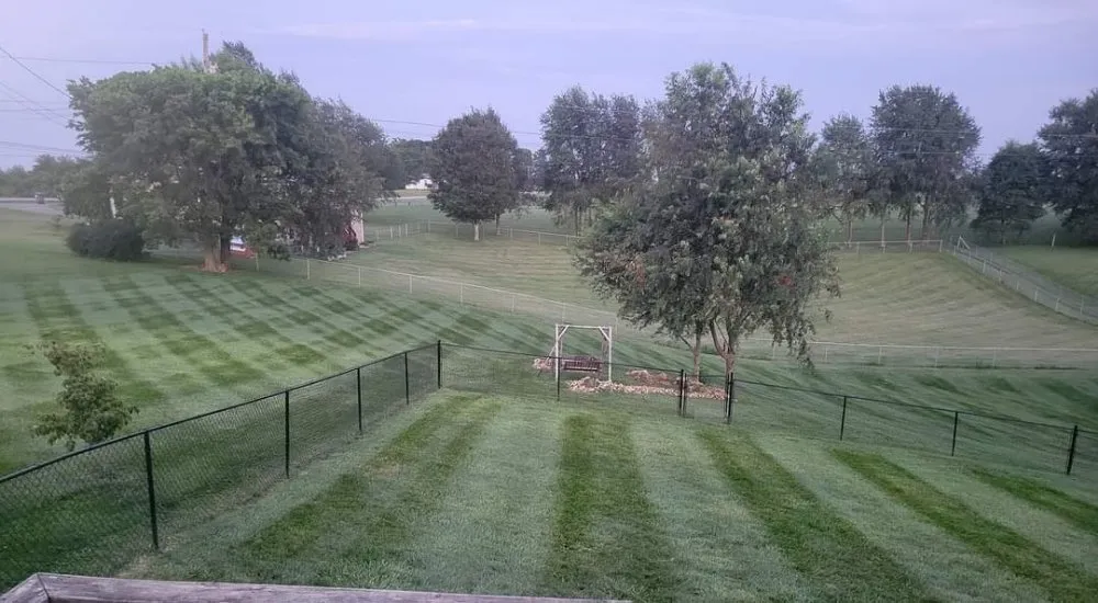 Affordable yard cleanup service near you across Ekron, KY - Inspiring Lawncare