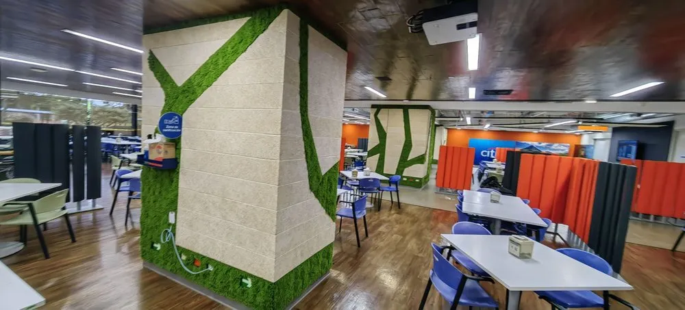 Trusted yard cleanup service in Davie, FL - Instagreen