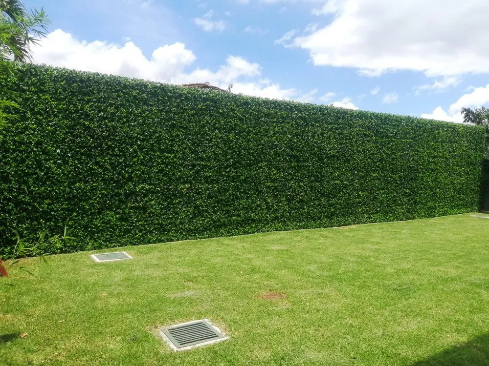 Trusted lawn care service in Davie, FL - Instagreen