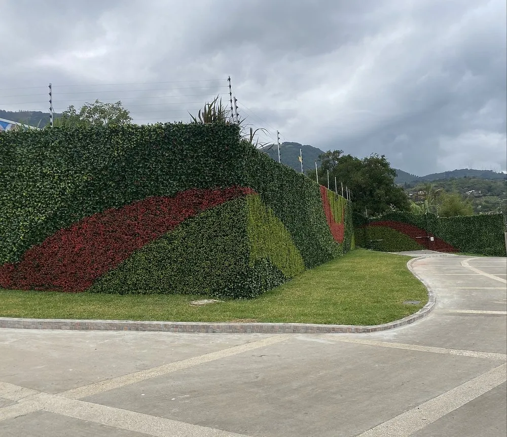 Local landscape design near you in Davie, FL by Instagreen