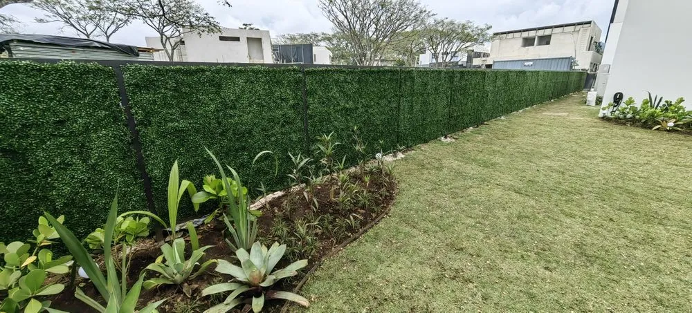 Top-rated garden landscaping for year-round maintenance across Davie, FL - Instagreen