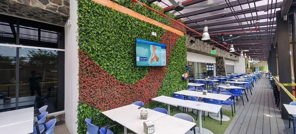 Affordable residential landscaping for beautiful yards in Davie, FL by Instagreen