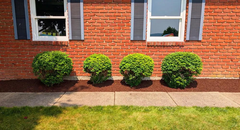 Custom landscape design experts serving Jamestown, NY - Instagreen Lawn Care