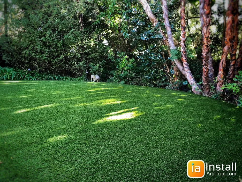 Expert yard cleanup service in Woodland Hills, CA - Install Artificial Grass