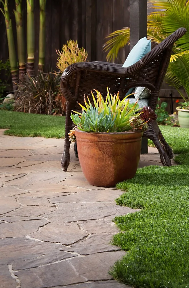 Local yard cleanup service experts serving Encinitas, CA - Install It Direct