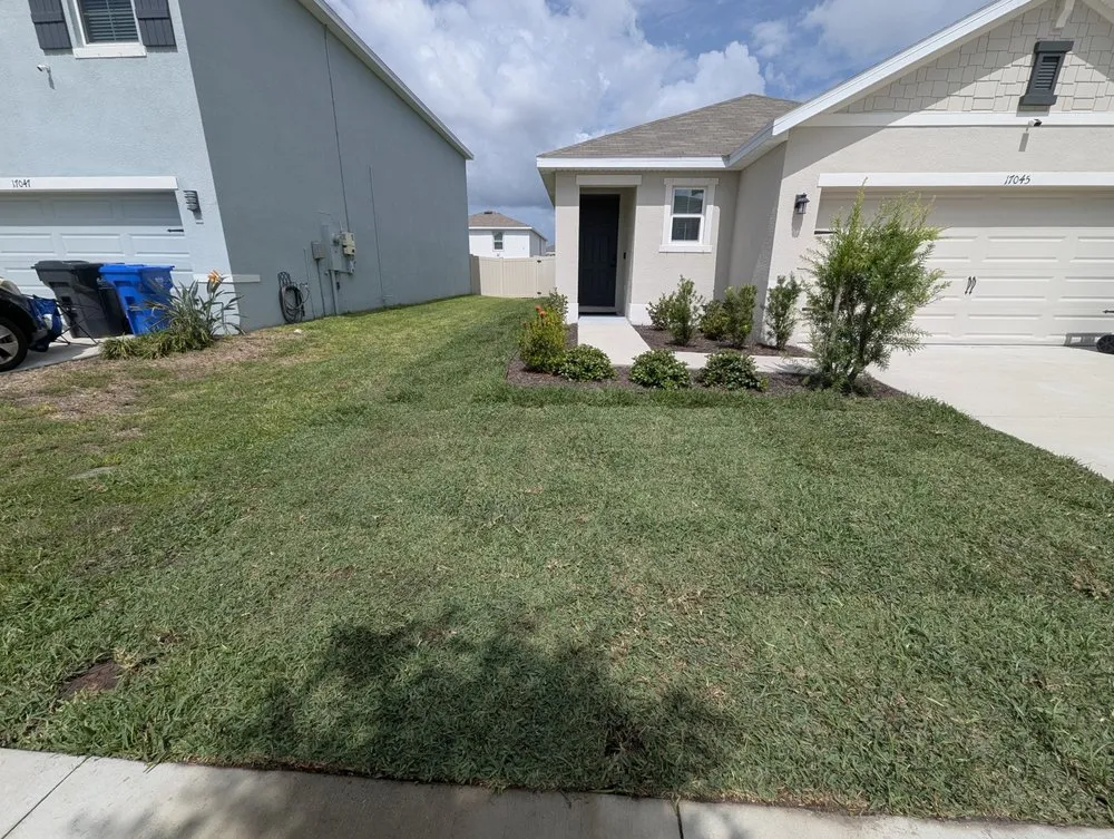 Top-rated yard maintenance in Riverview, FL - Instant Green Sod