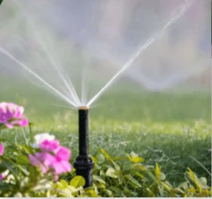 Local outdoor landscaping in Covington, GA by Instant Rain Landscape