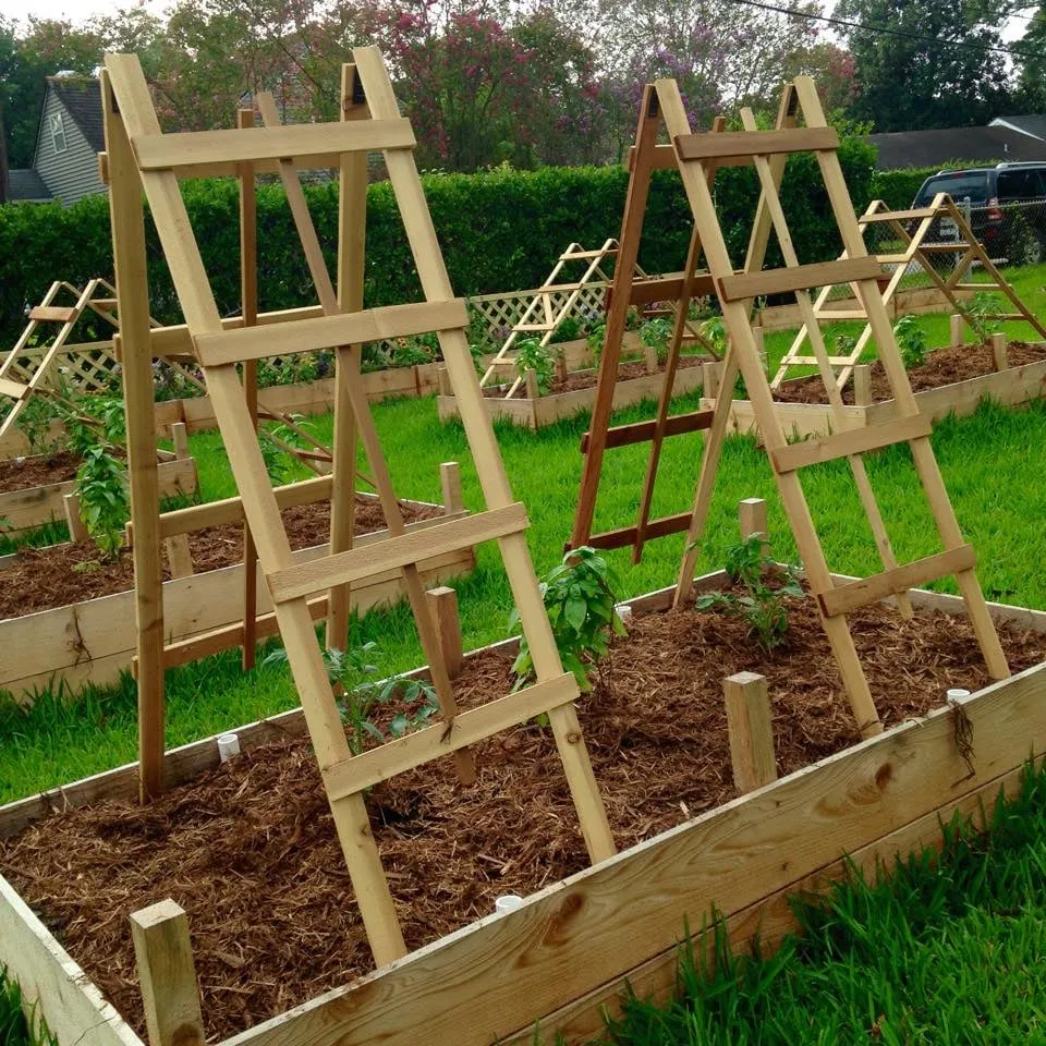 Custom lawn mowing service experts serving New Orleans, LA - Instar