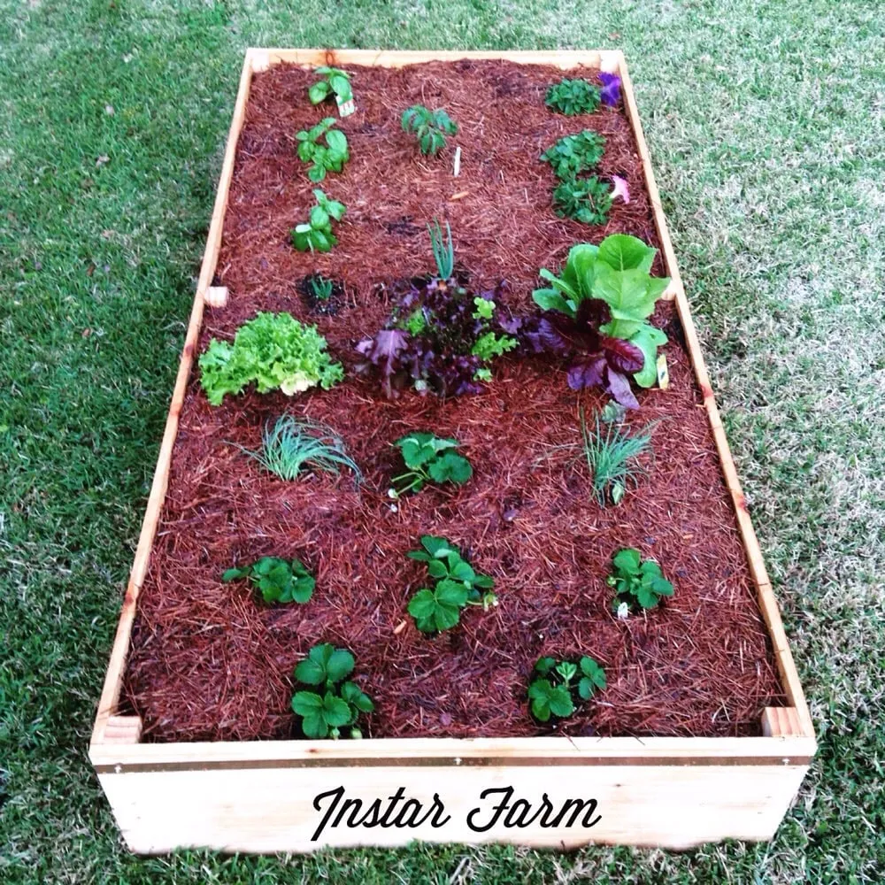 Affordable garden landscaping for homes in New Orleans, LA by Instar