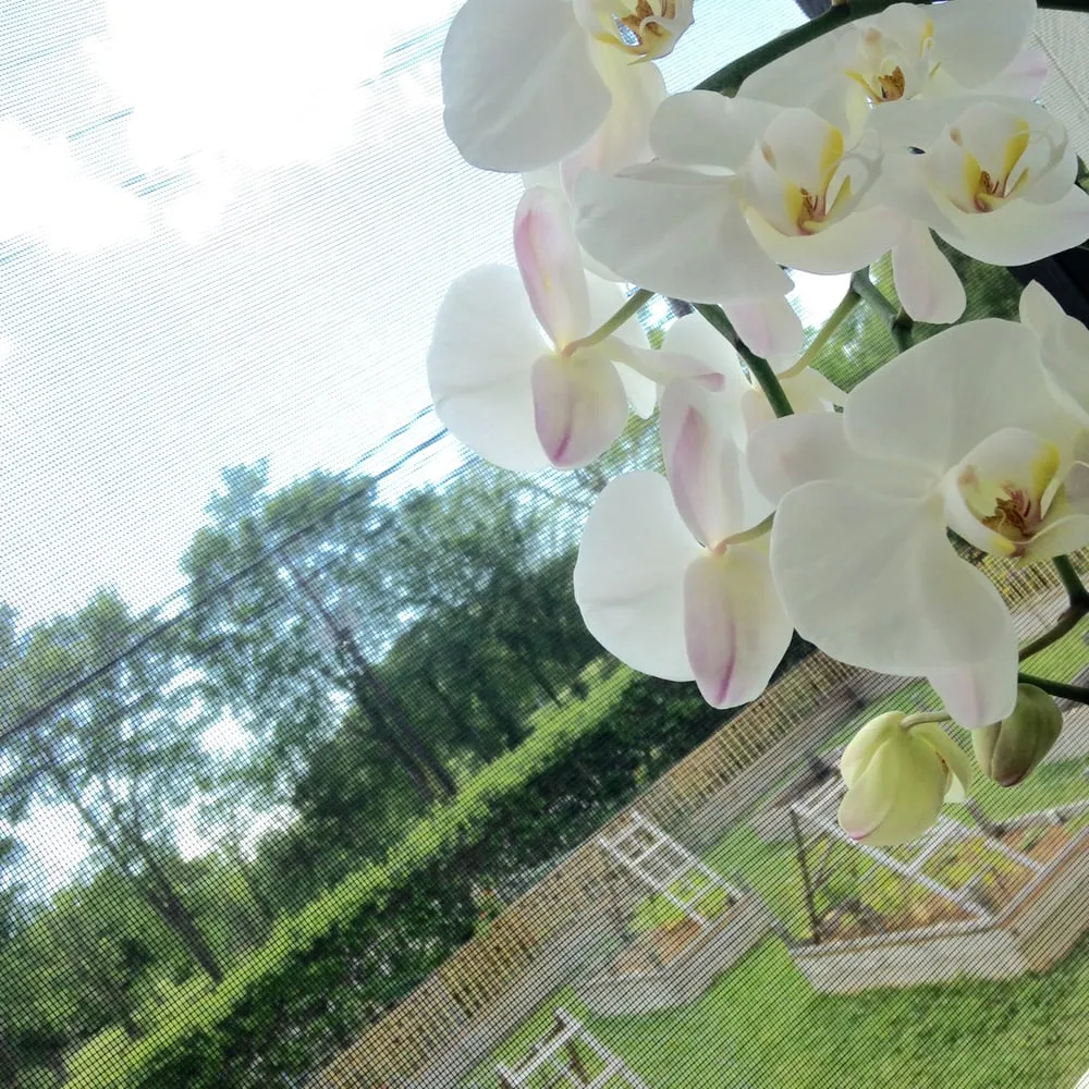 Trusted landscape design in New Orleans, LA - Instar