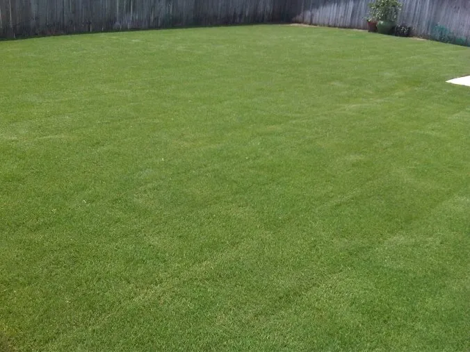 Trusted lawn care service for beautiful yards in Crowley, TX by Integra lawns