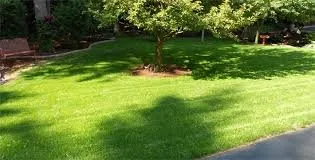 Local landscaping services experts serving Crowley, TX - Integra lawns