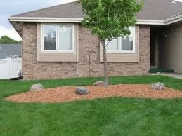 Local yard cleanup service in Crowley, TX by Integra lawns