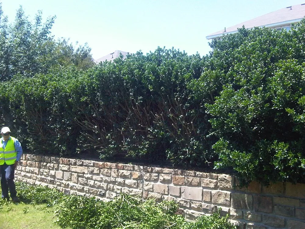 Trusted yard maintenance near you in Crowley, TX by Integra lawns