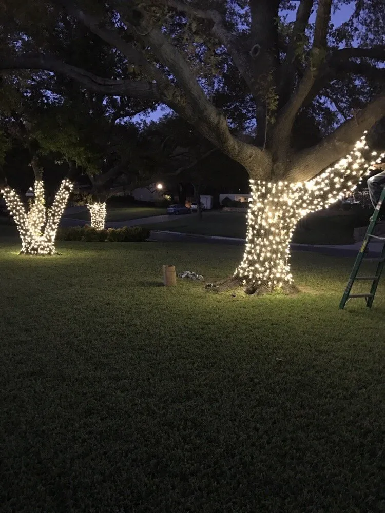 Reliable landscape design in Fort Worth, TX - Integra Lawns