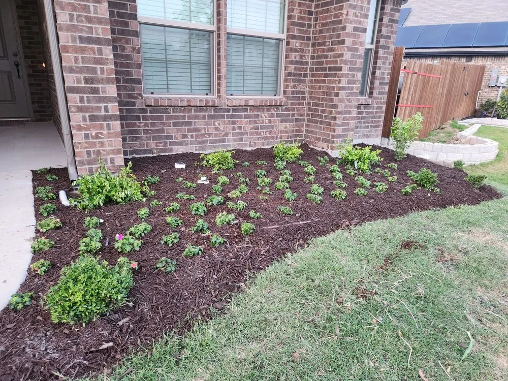 Affordable landscape installation in Fort Worth, TX - Integra Lawns