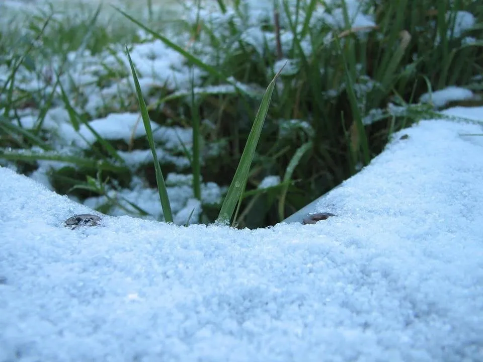 Trusted landscaping services for residential properties in Fort Worth, TX by Integra Lawns