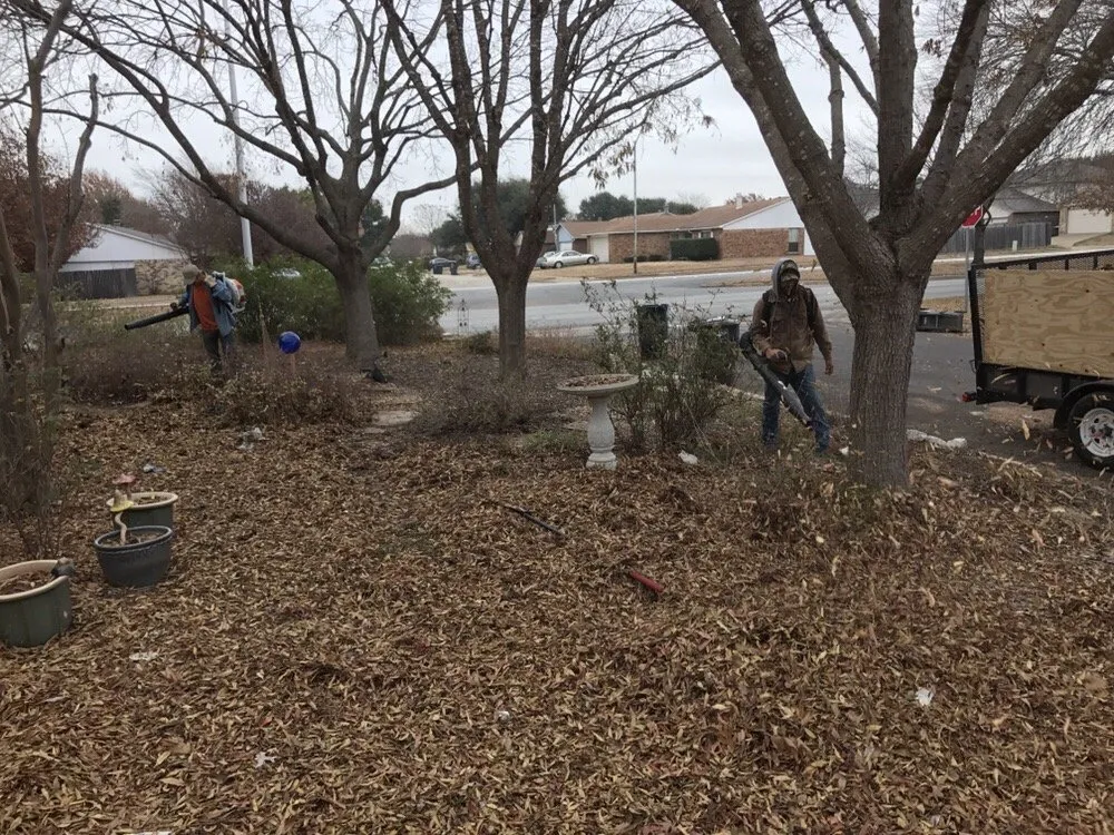 Expert yard maintenance experts serving Fort Worth, TX - Integra Lawns