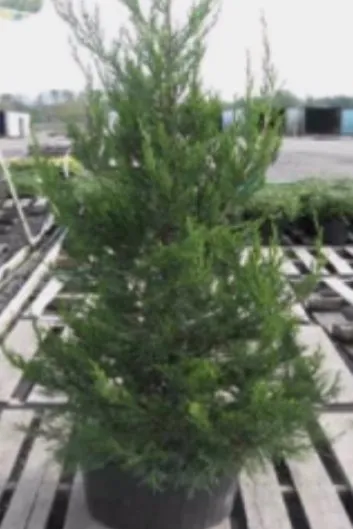 Trusted lawn mowing service with custom design in Parma, OH by Integra Outdoor Services