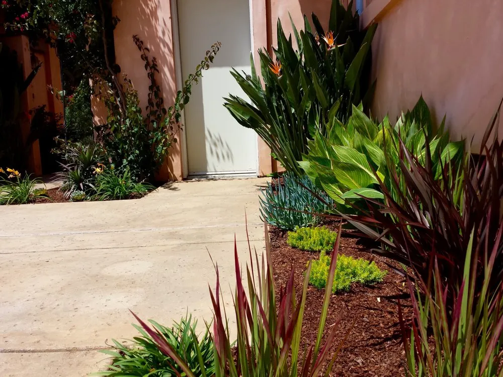 Top-rated landscaping services with custom design across Petaluma, CA - Integral Landscapes