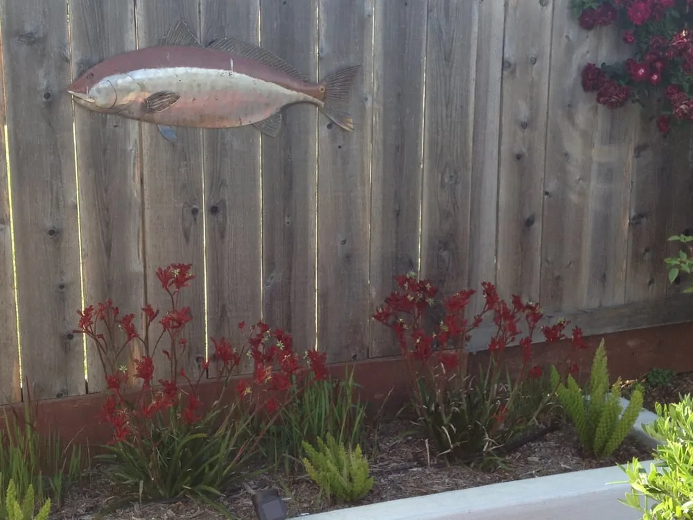 Trusted landscaping services in Petaluma, CA - Integral Landscapes