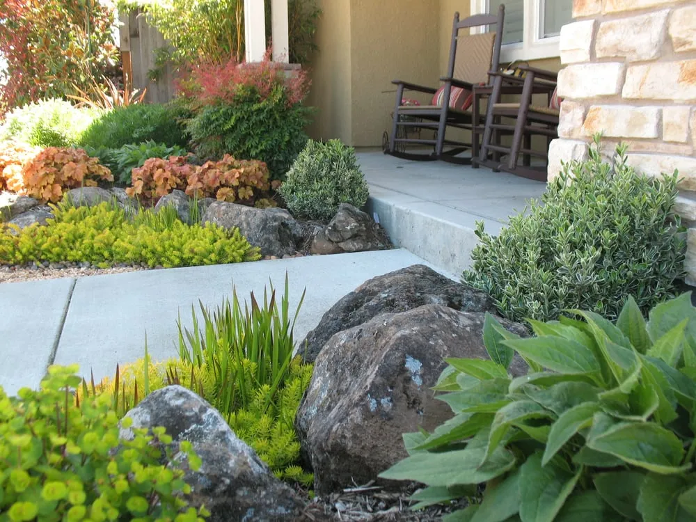 Custom lawn care service near you across Petaluma, CA - Integral Landscapes