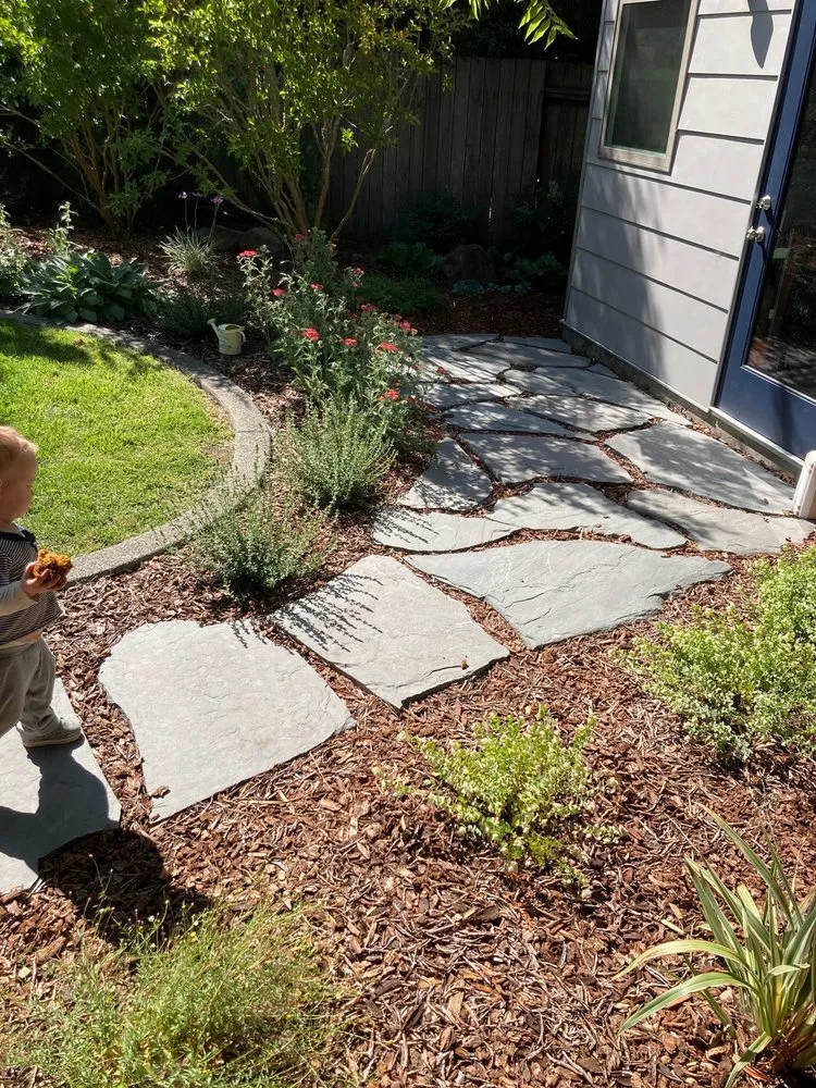 Expert yard maintenance experts serving Petaluma, CA - Integral Landscapes
