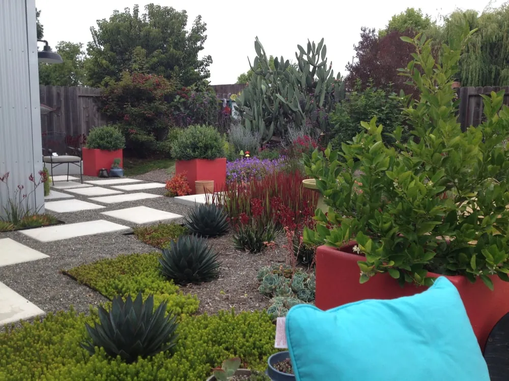 Professional outdoor landscaping in Petaluma, CA by Integral Landscapes