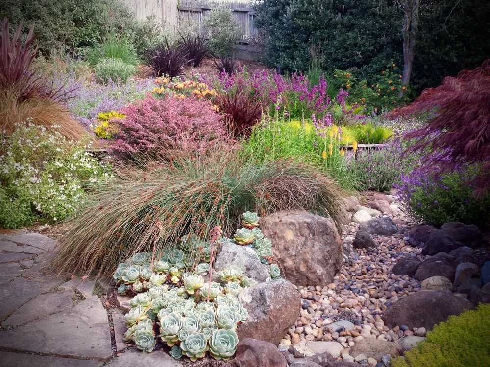 Professional landscape installation for residential properties in Petaluma, CA by Integral Landscapes