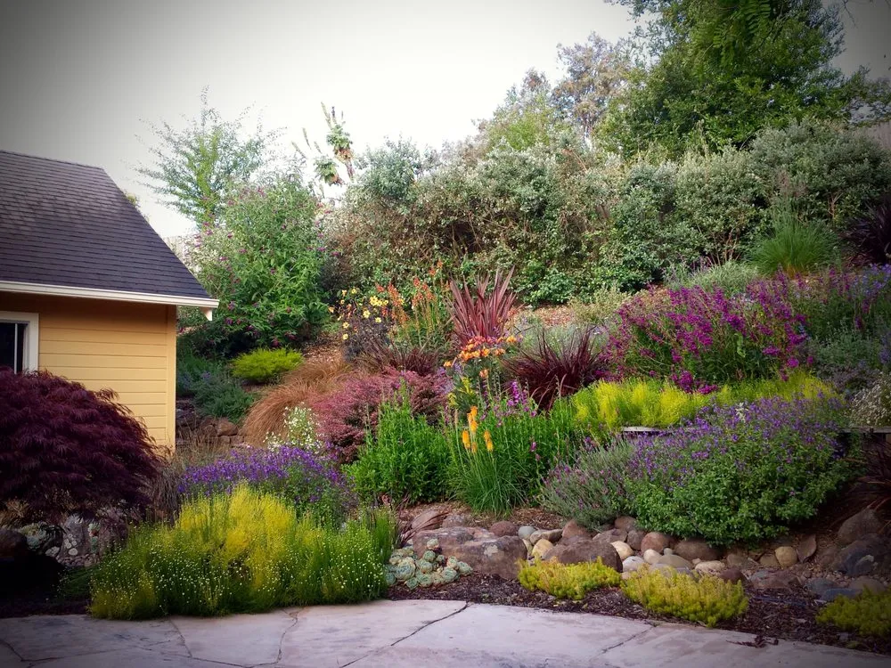 Local outdoor landscaping near you across Petaluma, CA - Integral Landscapes