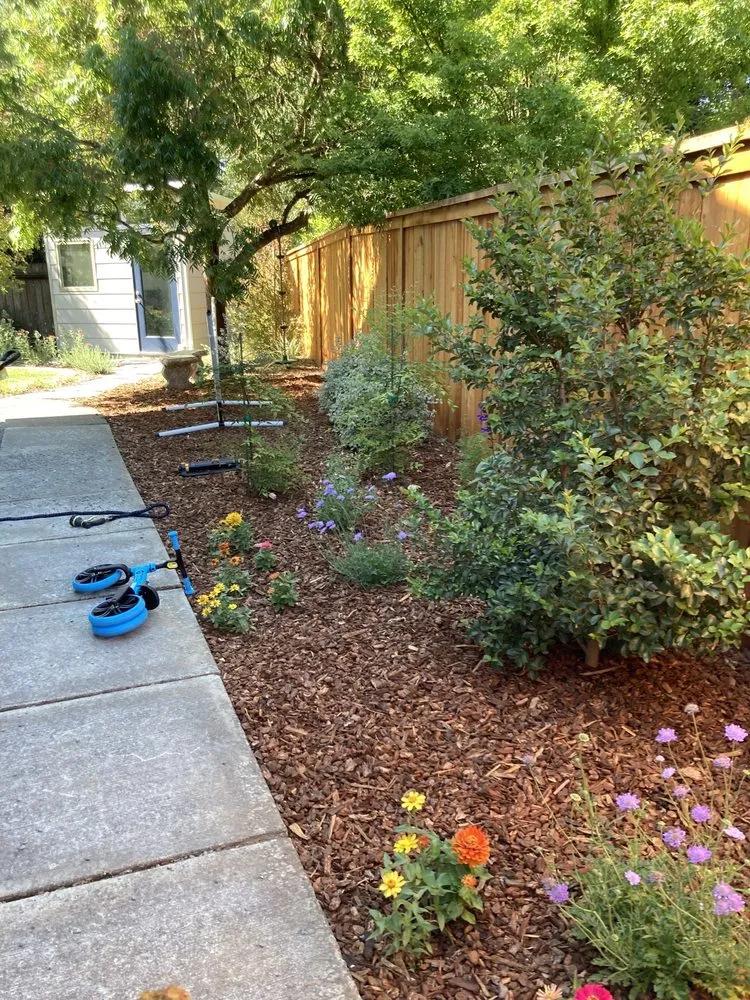 Custom yard cleanup service for outdoor upgrades across Petaluma, CA - Integral Landscapes