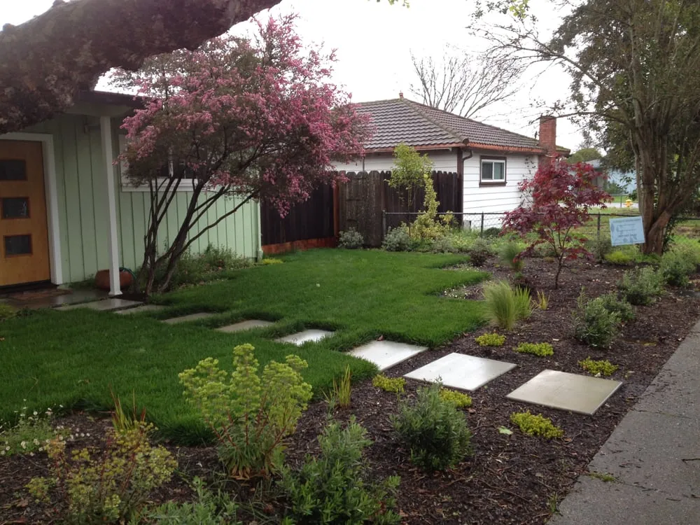 Expert yard maintenance for year-round maintenance in Petaluma, CA by Integral Landscapes