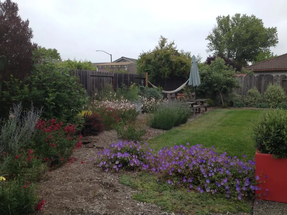 Custom landscaping services near you across Petaluma, CA - Integral Landscapes