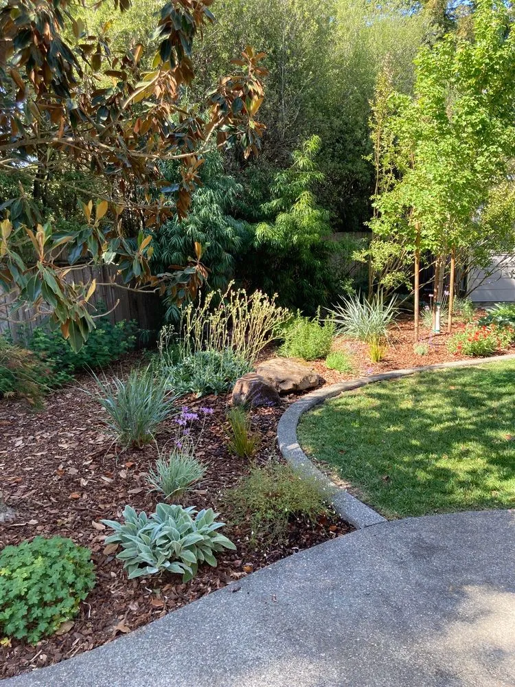Reliable landscape installation experts serving Petaluma, CA - Integral Landscapes