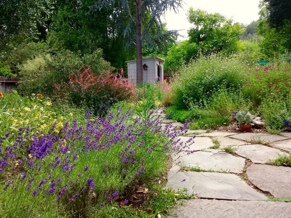 Expert yard maintenance in Petaluma, CA - Integral Landscapes