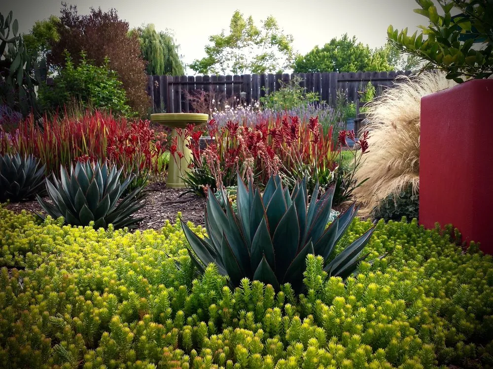 Expert landscaping services experts serving Petaluma, CA - Integral Landscapes