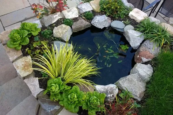 Integral Solutions Logo