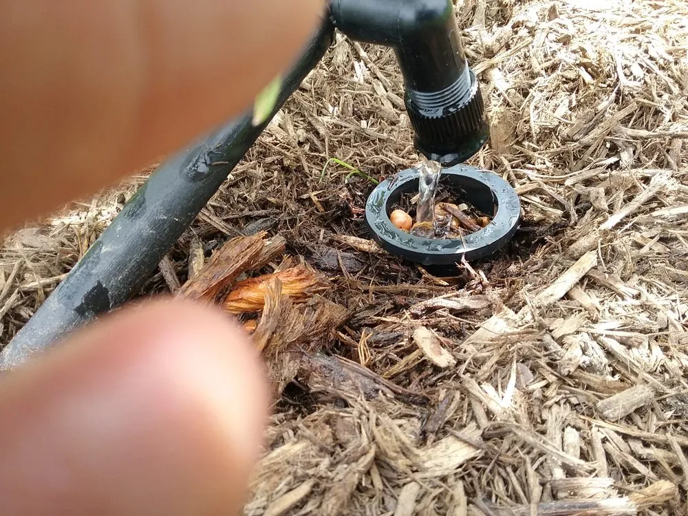 Top-rated landscaping services in Austin, TX - Integrated Ecosystem Technologies