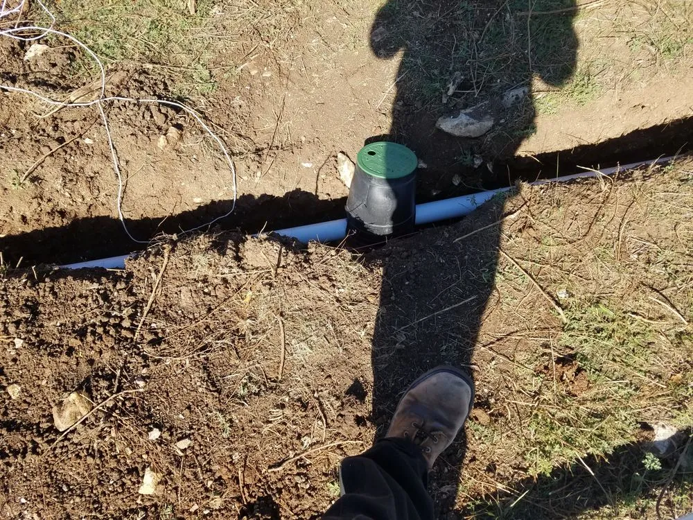 Expert garden landscaping for homes across Austin, TX - Integrated Ecosystem Technologies