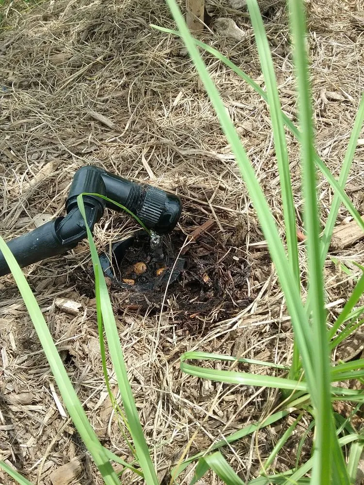 Local yard maintenance with custom design across Austin, TX - Integrated Ecosystem Technologies