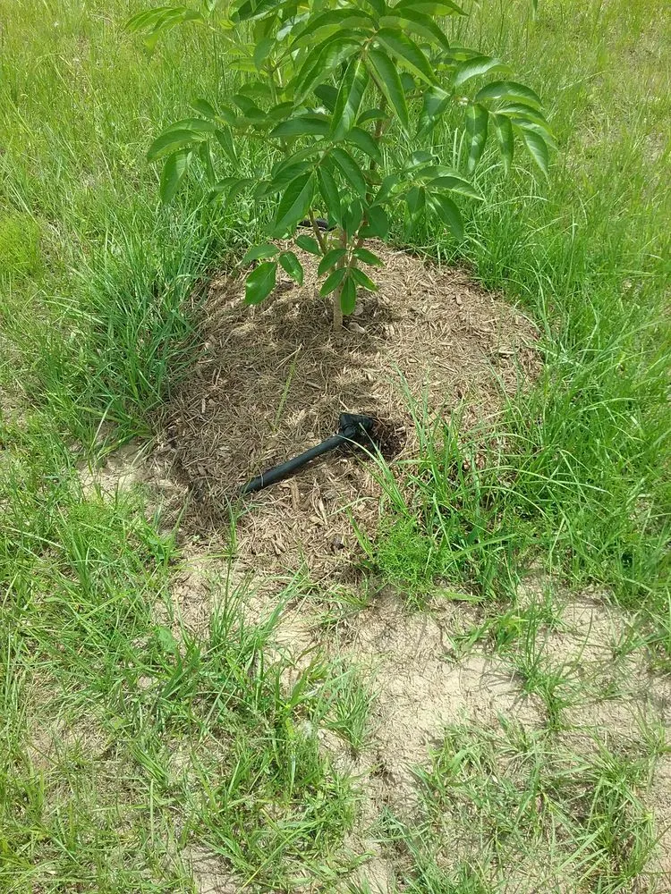 Custom landscape installation for residential properties across Austin, TX - Integrated Ecosystem Technologies